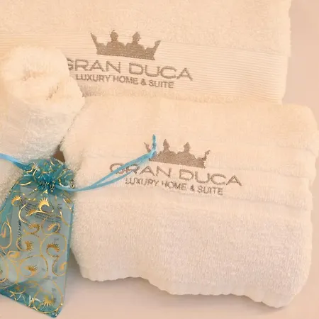 Gran Duca Santo Stefano Zona Casale Vicino Aeroporto Appartamento